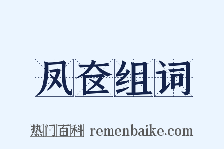 凤奁组词是什么意思的图片